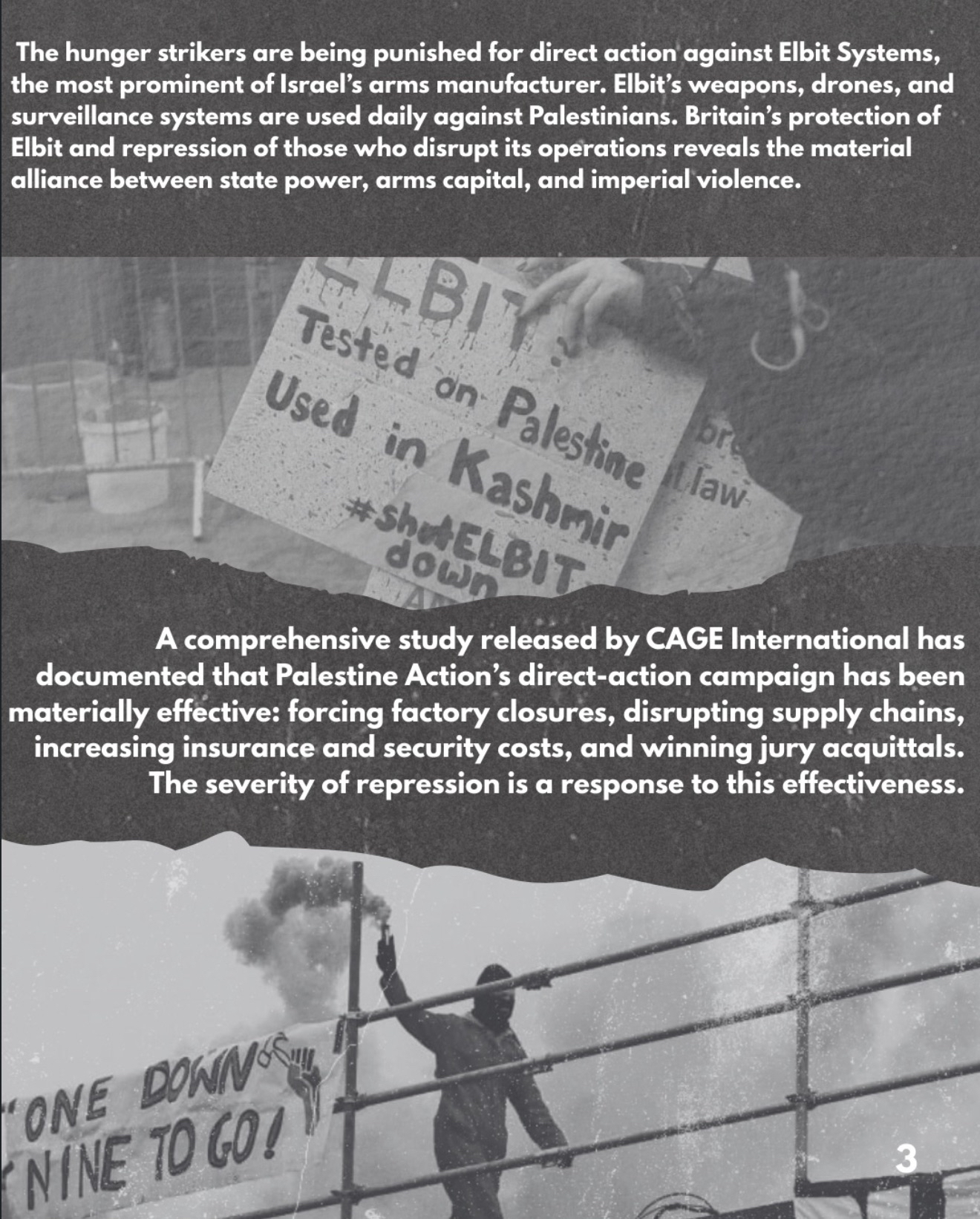 The Real Dragons: Once Again On The Prisoners for Palestine Hunger Strike